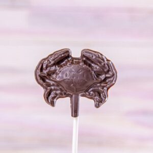 Chocolate Pops: The Best Combination of Our Favorite Sweets